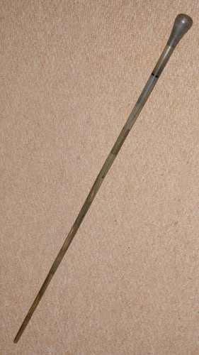 Vintage segmented bovine horn - bovine,