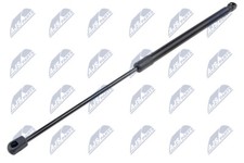 AE-FR-052 NTY Gas Spring