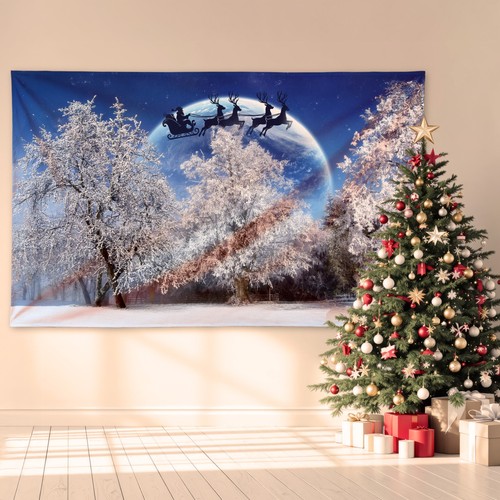 Santa reindeer night scene - santa's,