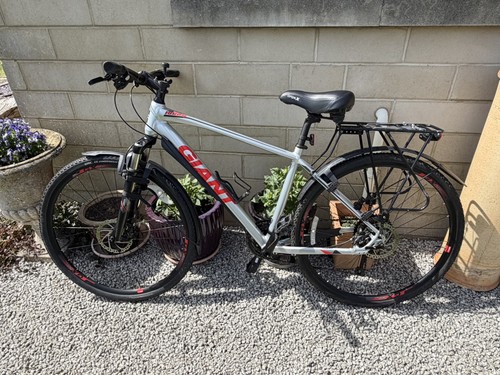 Giant roam medium - roam, 1
