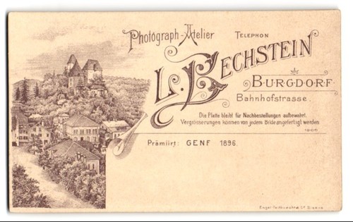 Photograph bechstein - photograph,