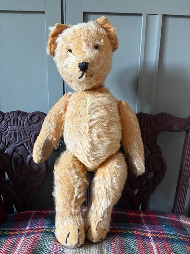 Old vintage teddy bear - teddy,