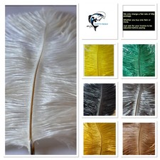 Ostrich Feathers x2 Plume Herl Fly Tying 7 Colours Arts & Crafts