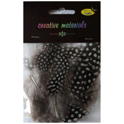 Guinea fowl feathers 15 - guinea, 10–15