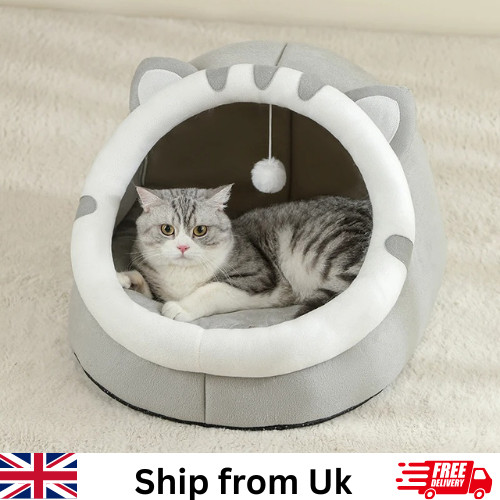 Pet dog cat bed - dog,