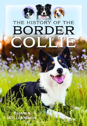 The history border - the,