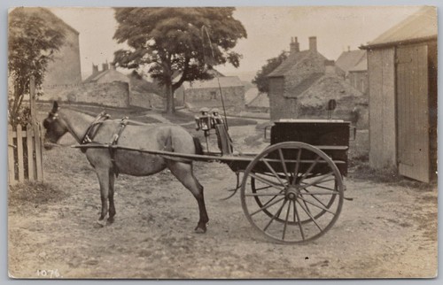 Social history horse trap at - trap,