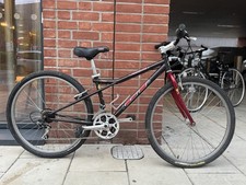 Vintage 90s GT Palomar