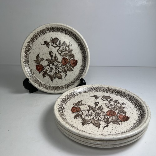 Barratts staffordshire wild - of,