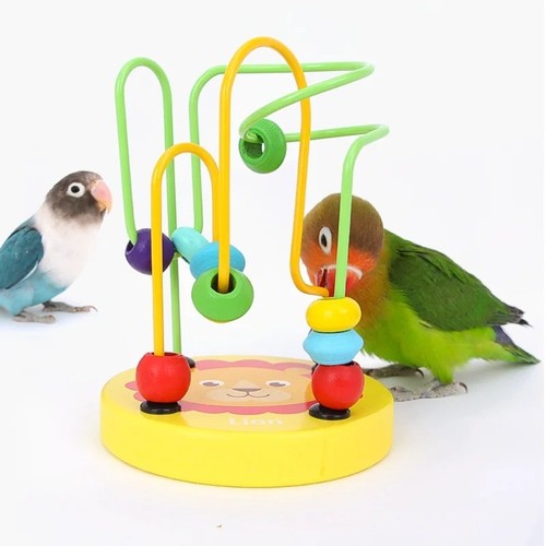 Bird foraging training toy - foraging,