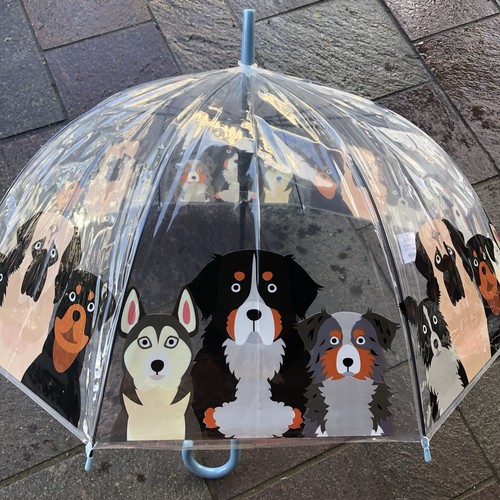 Ladies dogs umbrella walking - umbrella,