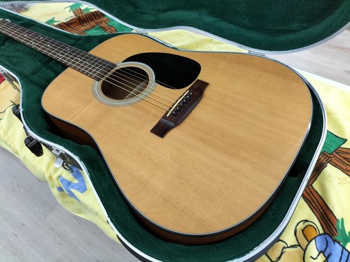 Martin acoustic guitar - martin, d-18