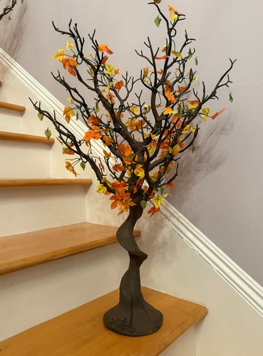 Manzanita centerpiece - manzanita,
