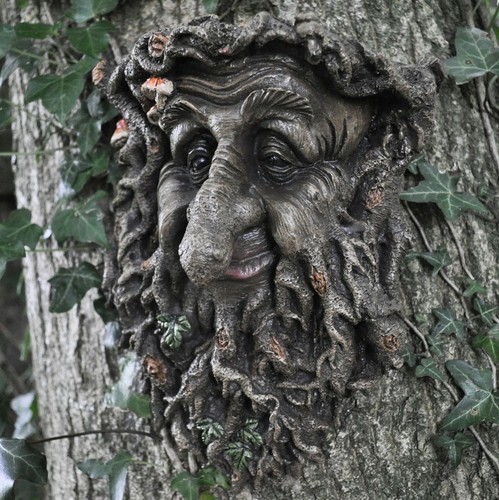 Man forest greenman tree - of,