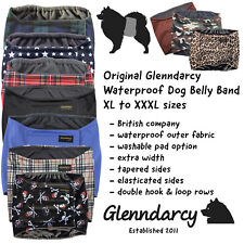 Glenndarcy Washable Male Dog