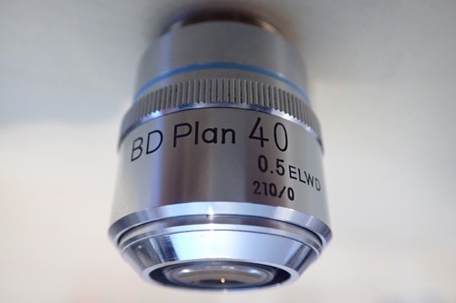 Nikon plan 40x - bd,