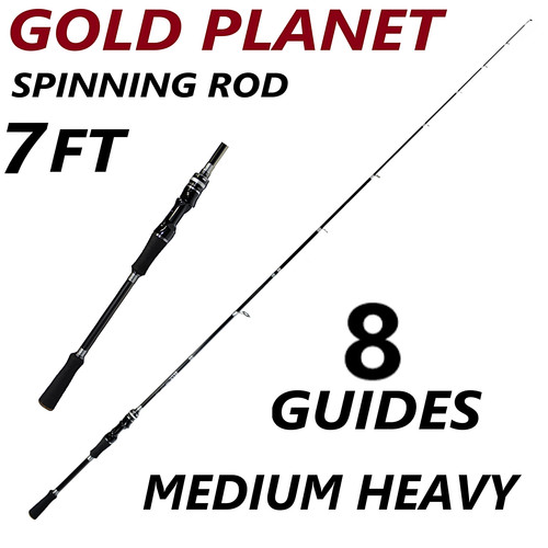 Fishing spinning rod - rod, carbon