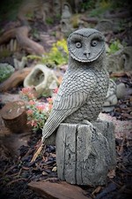 Bernie the Barn Owl Stone