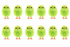 160 mini chicks - mini,