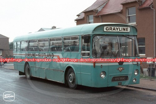Bus photo grayline of - bus,