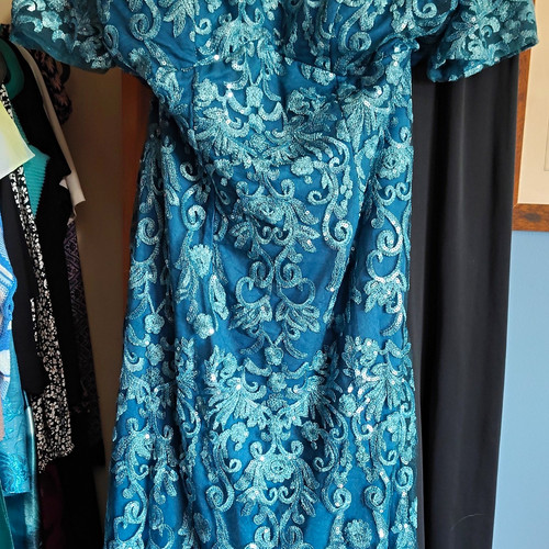 Nwt teal blue lace - blue, floral