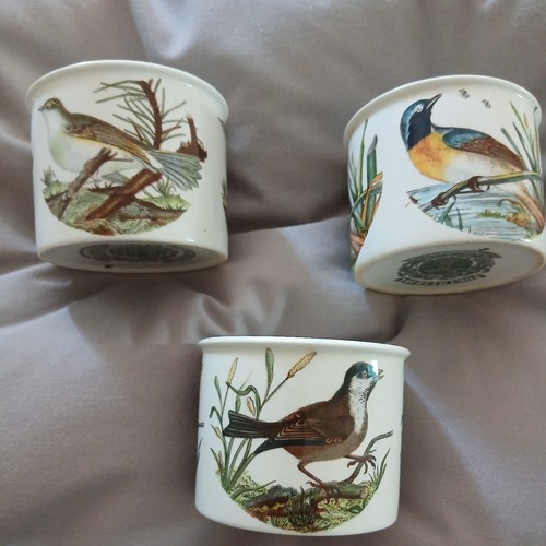 Portmeirion birds britain - portmeirion,