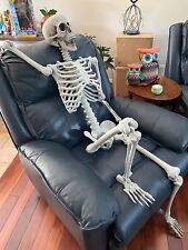 170cm Giant Full Life Size Human Skeleton Model Horror Bone Posable Halloween