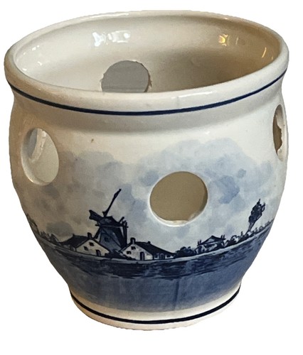 Delft blauw crocus - delft,