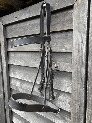 Shires velociti gara - shires, black