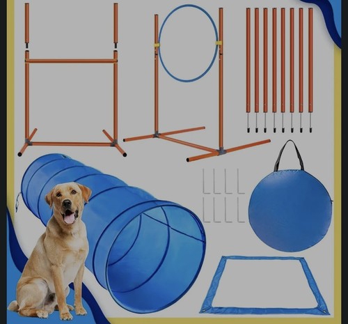 Xben dog agility - xben,