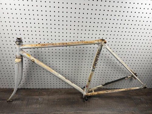 Vintage schwinn traveler road - schwinn,