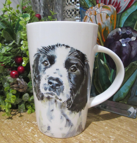 Beautiful springer spaniel pup - beautiful,