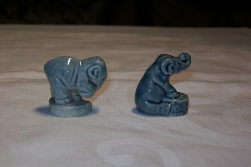 Two wade circus - two, elephants