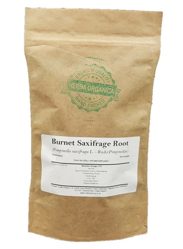 Burnet saxifrage root - burnet,
