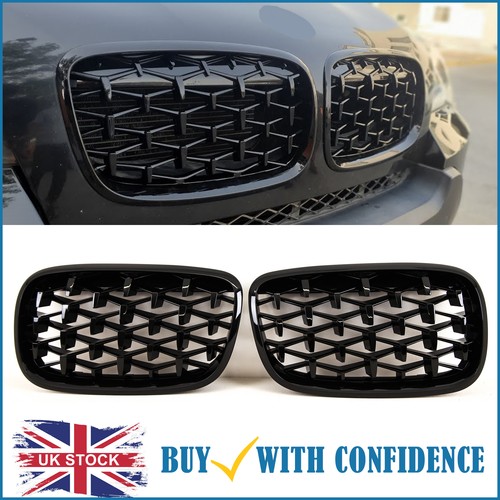 Front kidney grilles - front,