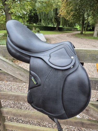Gorgeous amerigo 1 - dj, 17.5'