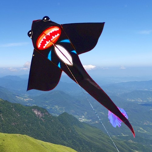 Big kite sturdy decorative - big,