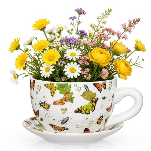 Oairse ceramic teacup planter - ceramic,
