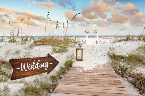 Wedding directional arrow yard - arrow,