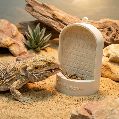 Personalised reptile feeder - reptile,