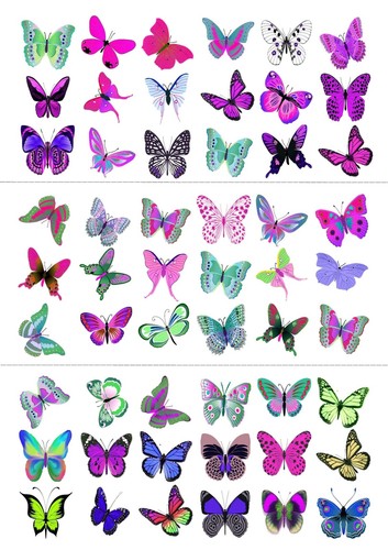 Pink purple green - 54,