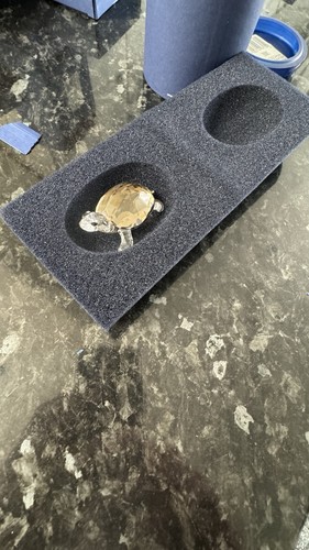Swarovski crystal turtle - crystal, /