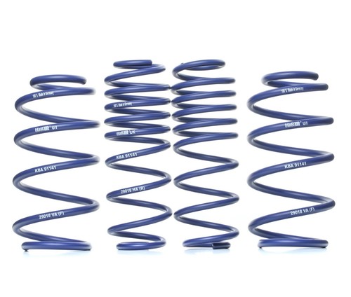 Lowering springs 40mm for - h&r,