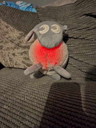 Ewan the dream - the, sheep