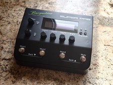 Bergantino Super Pre BASS