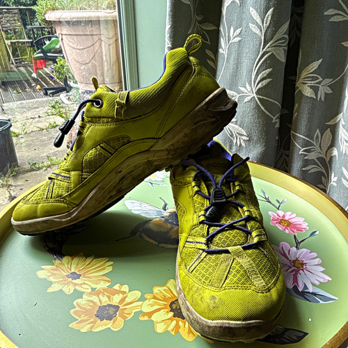 Ecco yellow low top lace - top,