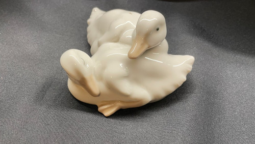 Snuggling lying down ducks - down,