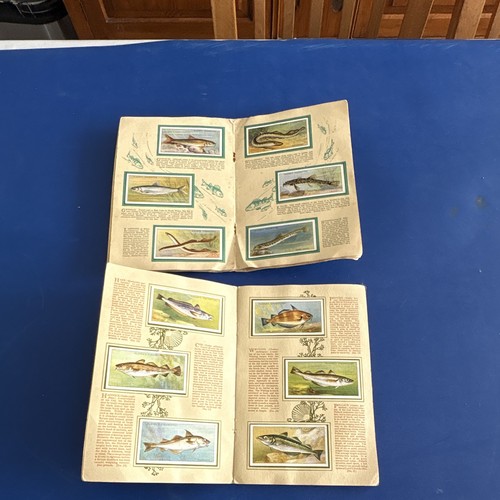 Vintage collectable - 2x,