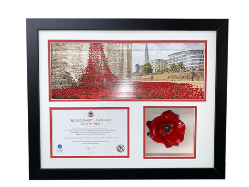 Tower london poppy frame - of,