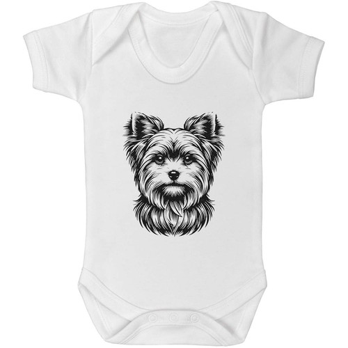 Yorkshire terrier baby - baby, grows